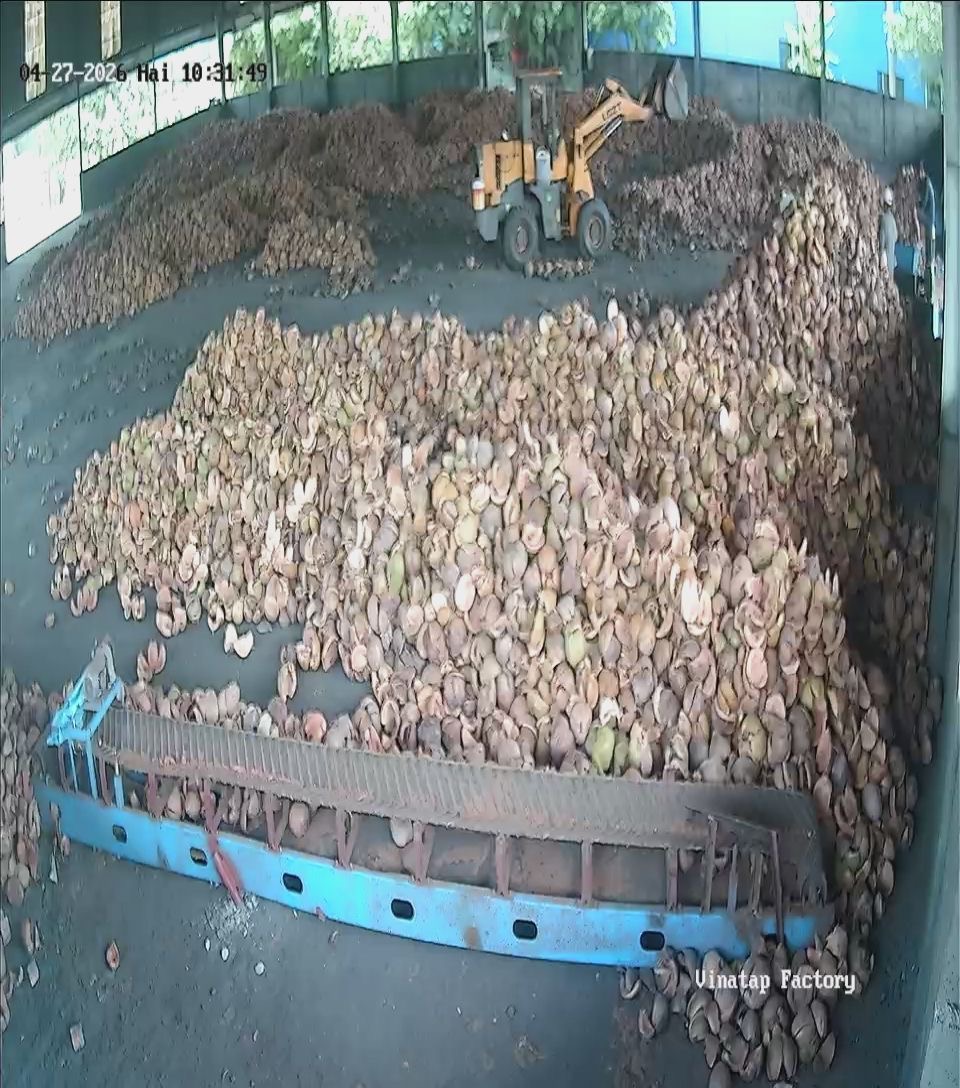 VinaTap industrial coco factory infrastructure and warehouse in Dong Thap Province Vietnam
