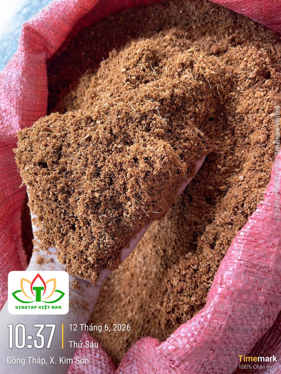 Low EC Cocopeat Supplier Vietnam | Premium Growing Media Exporter