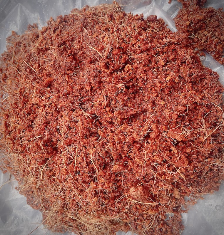 Xơ Dừa – Giải Pháp Tối Ưu Cho Việc Trồng Dâu Tây