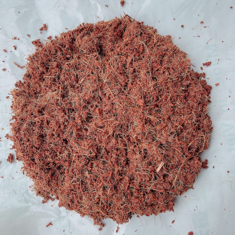 Xơ dừa trồng cà chua